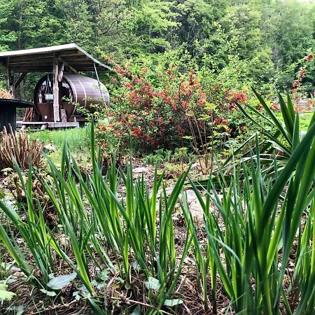 Schlummerfass An Der Bockmuehle Hohnstein