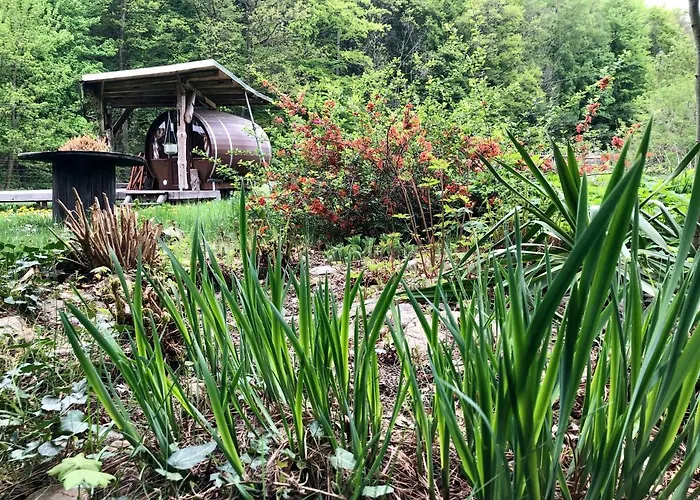 Schlummerfass An Der Bockmuehle Хонштайн