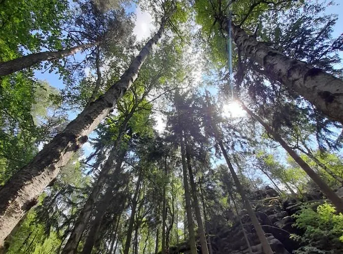 Schlummerfass An Der Bockmuehle *